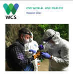 One World One Health Newsletter: Holistic Benefits of Wildlife Surveillance