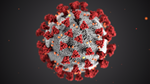 The Next Virus Pandemic Is Not Far Away
